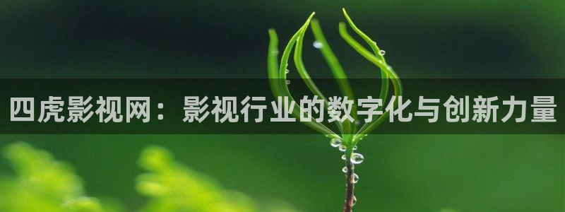 在线看片麻豆：四虎影视网：影视行业的数字化与创新力量