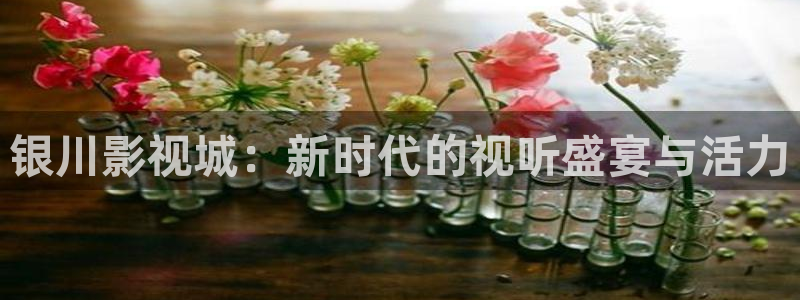 琪琪电影麻豆：银川影视城：新时代的视听盛宴与活力