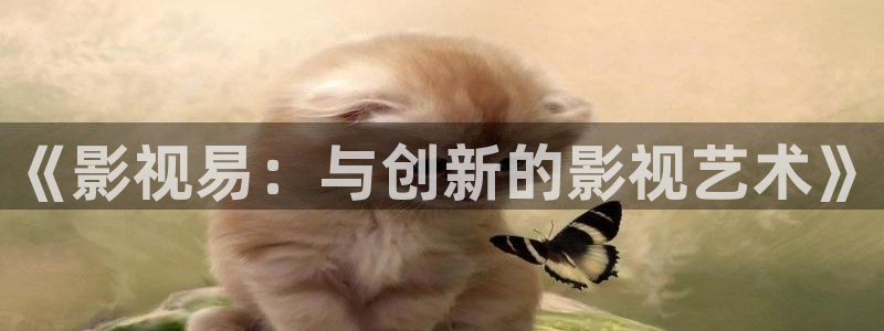 麻豆电影,在线观看：《影视易：与创新的影视艺术》