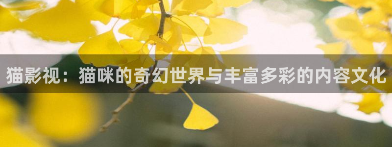 麻豆电影在线视频：猫影视：猫咪的奇幻世界与丰富多彩的内容文化
