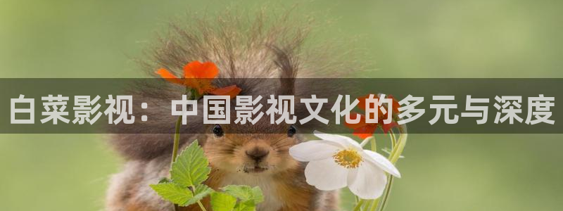 日韩纯无吗麻豆影院：白菜影视：中国影视文化的多元与深度